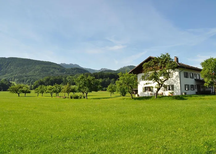 Bergblick 아파트